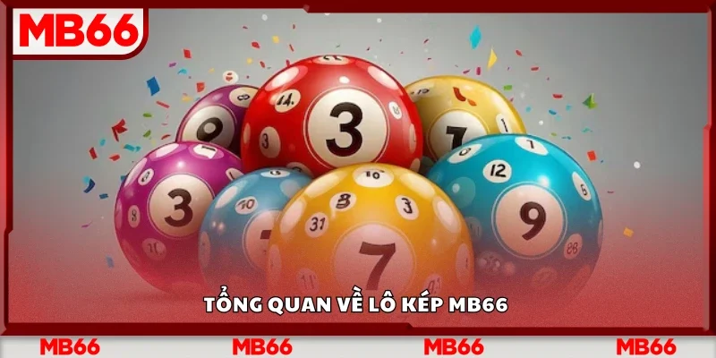 Sơ lược về lô kép Mb66